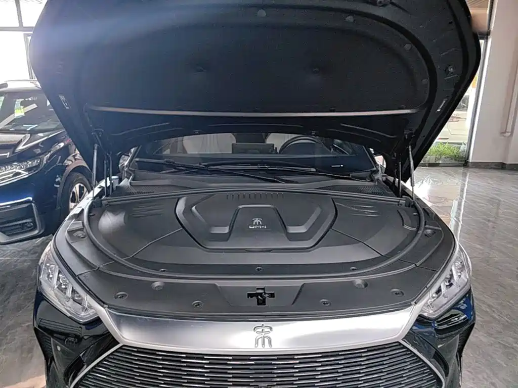 BYD PLUS New Energy — фото 20