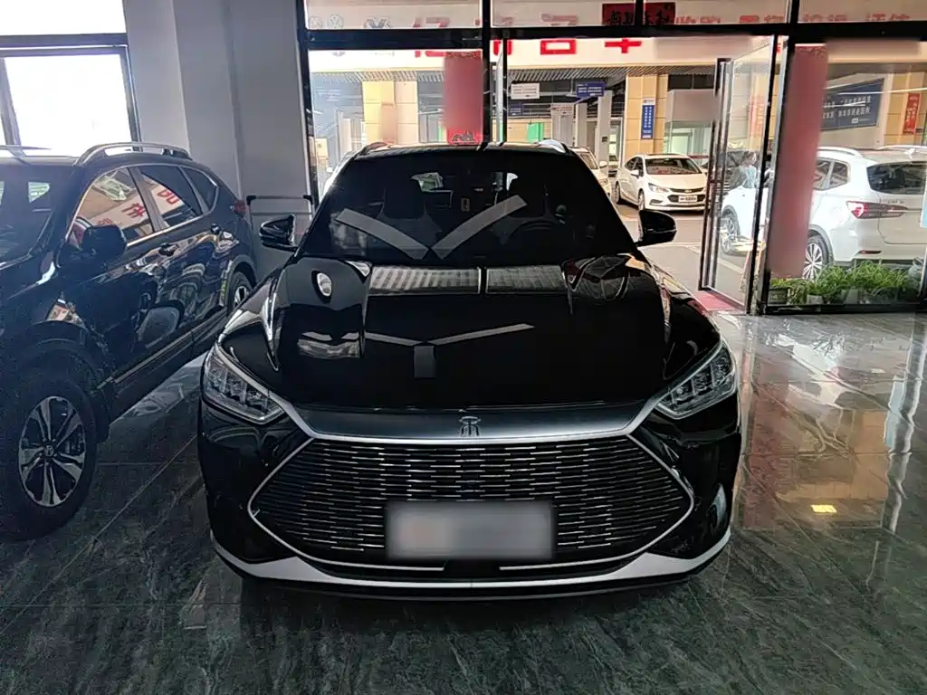 BYD PLUS New Energy — фото 3