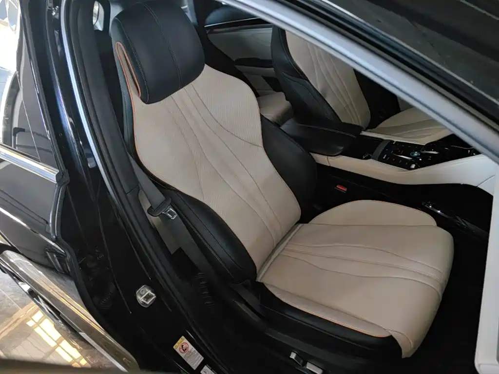 BYD PLUS New Energy — фото 25