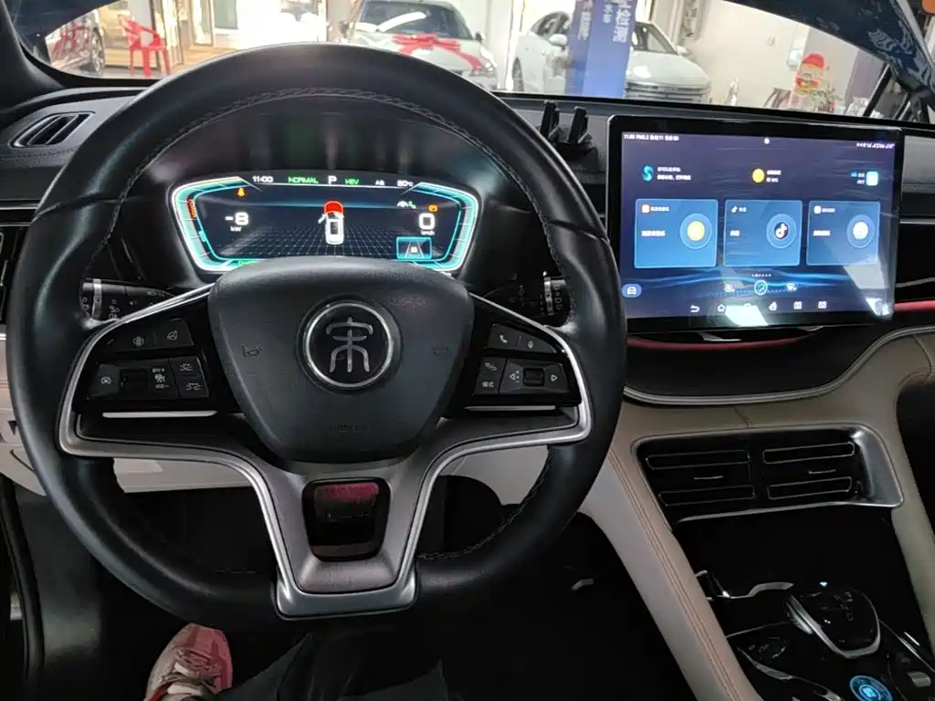 BYD PLUS New Energy — фото 10