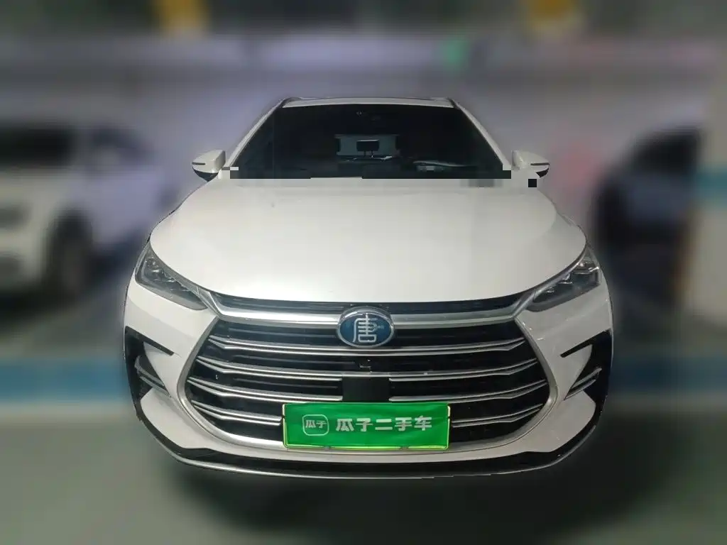 BYD Tang New Energy — фото 2