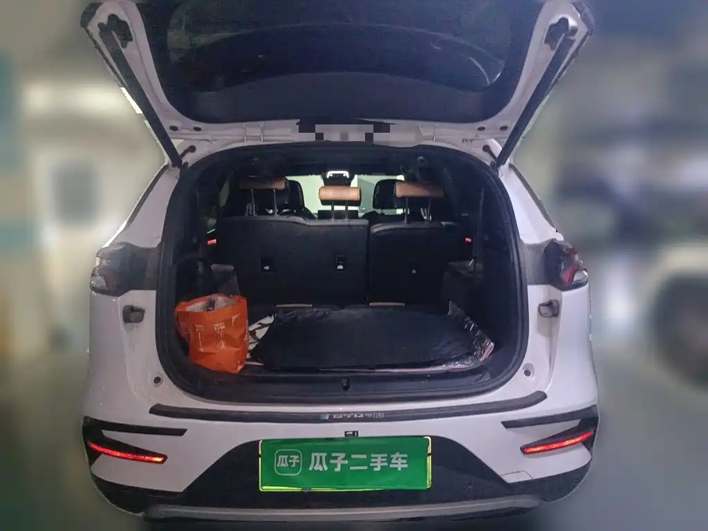 BYD Tang New Energy — фото 15