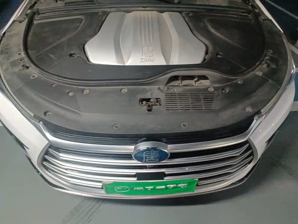 BYD Tang New Energy — фото 16