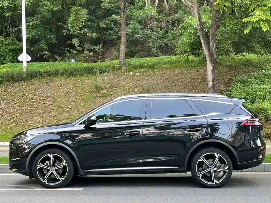 BYD Tang New Energy — фото 2