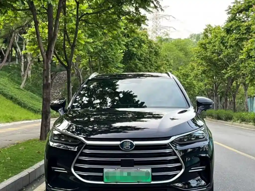 BYD Tang New Energy — фото 11