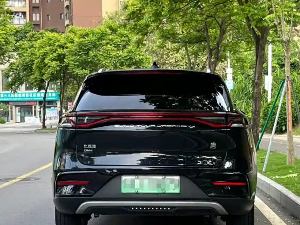 BYD Tang New Energy — фото 13
