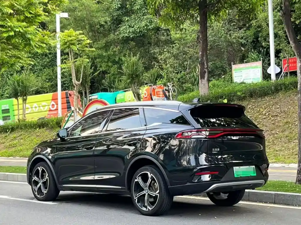 BYD Tang New Energy — фото 4