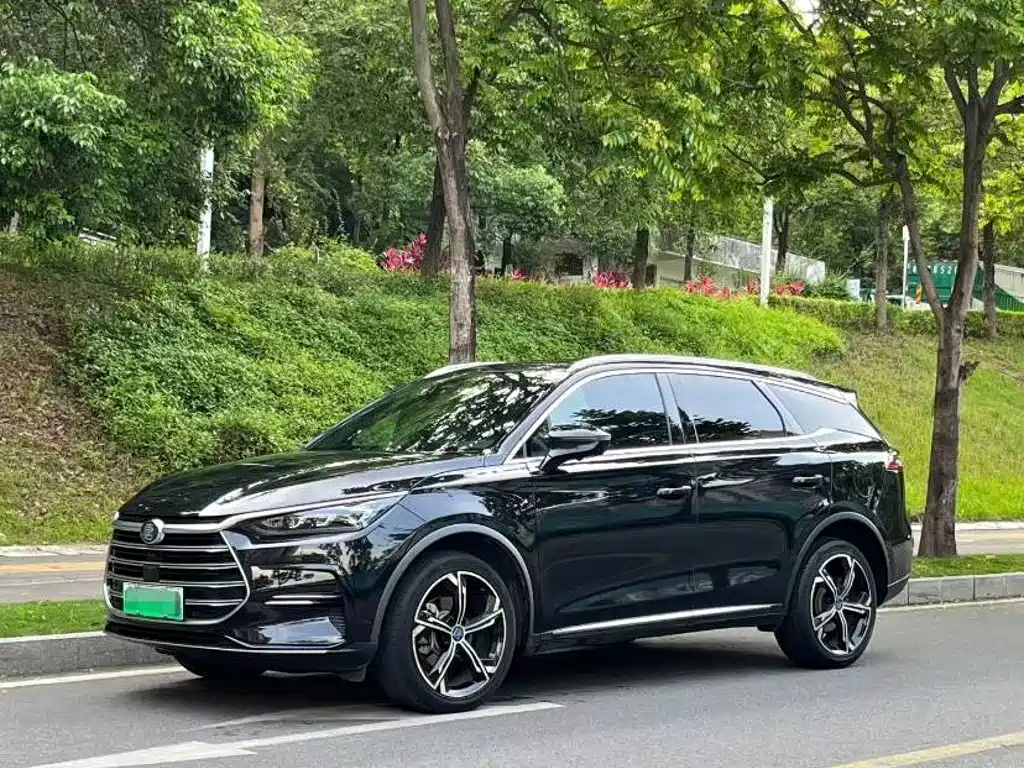 BYD Tang New Energy — фото 10