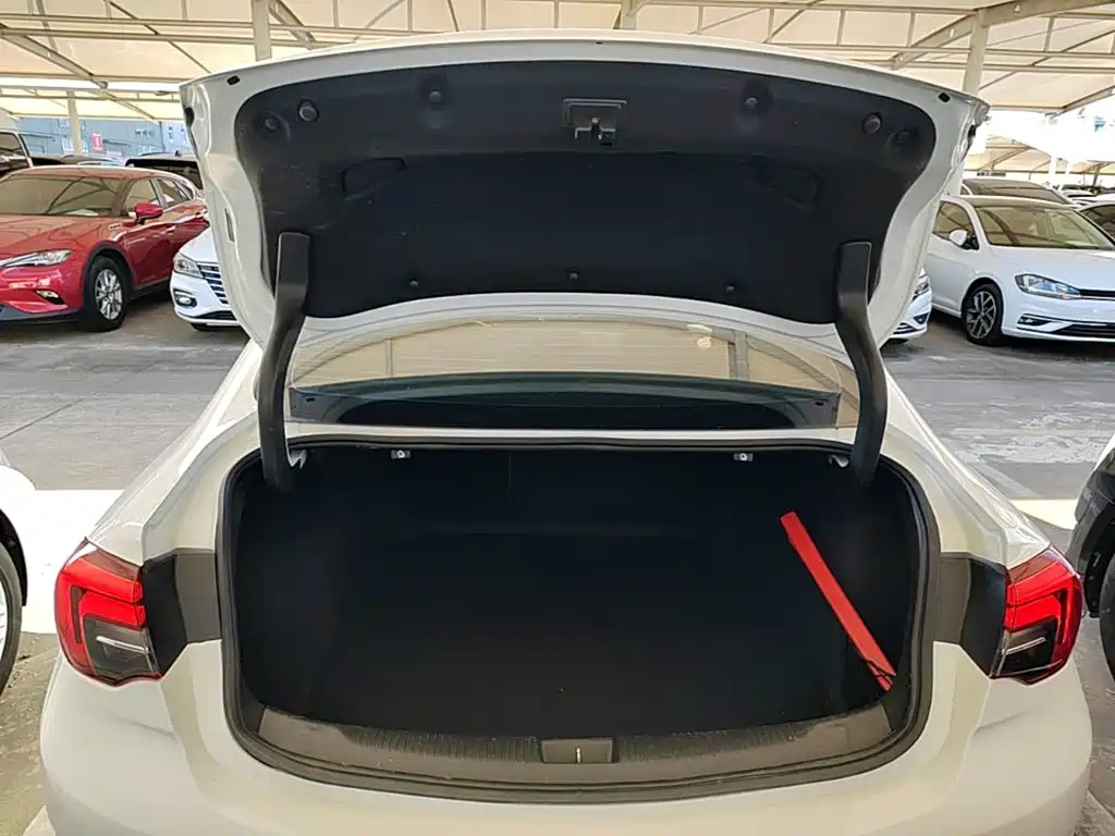 Buick Regal — фото 19