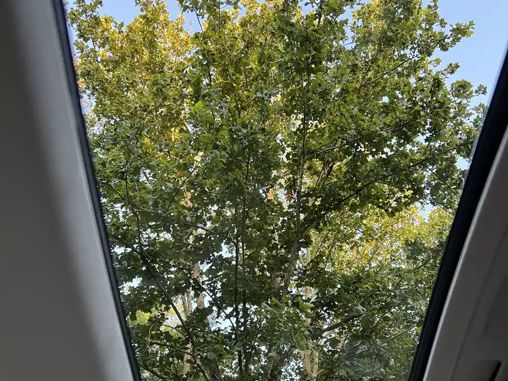 Buick Regal — фото 15