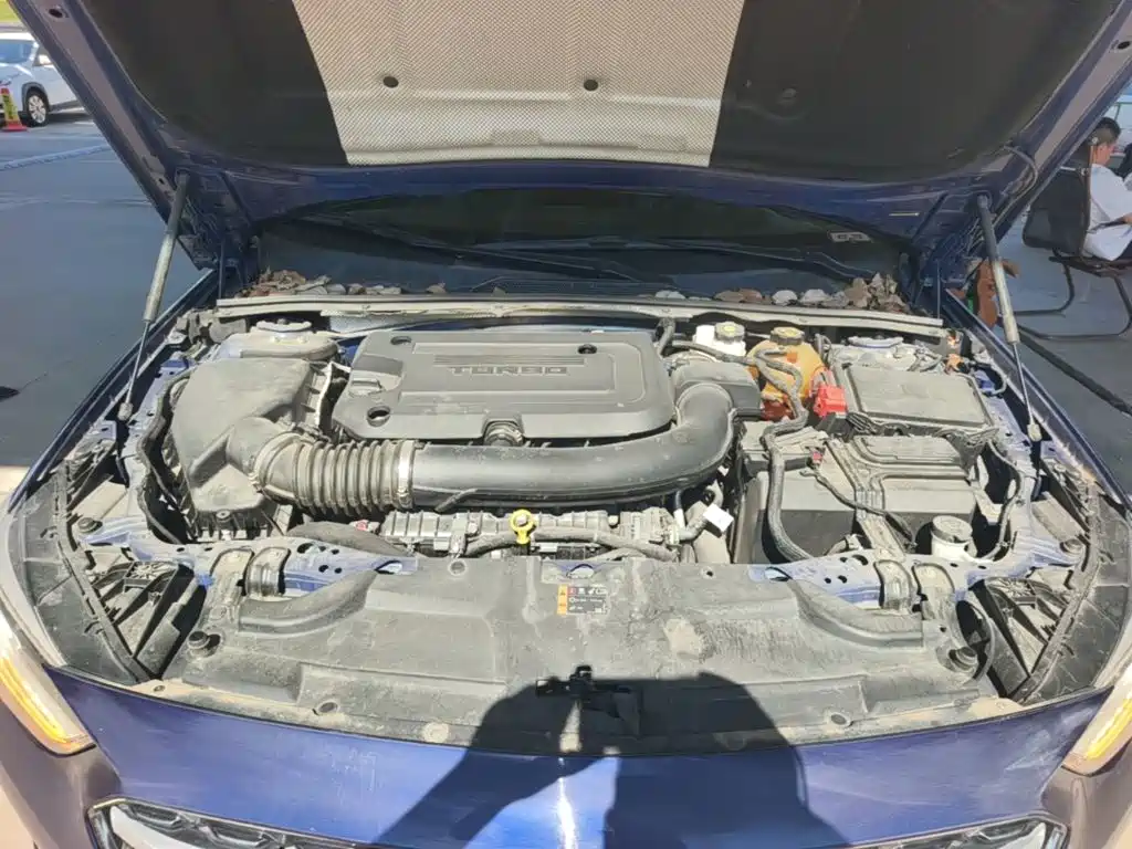 Buick Regal — фото 20