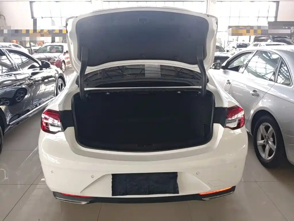 Buick Regal — фото 19