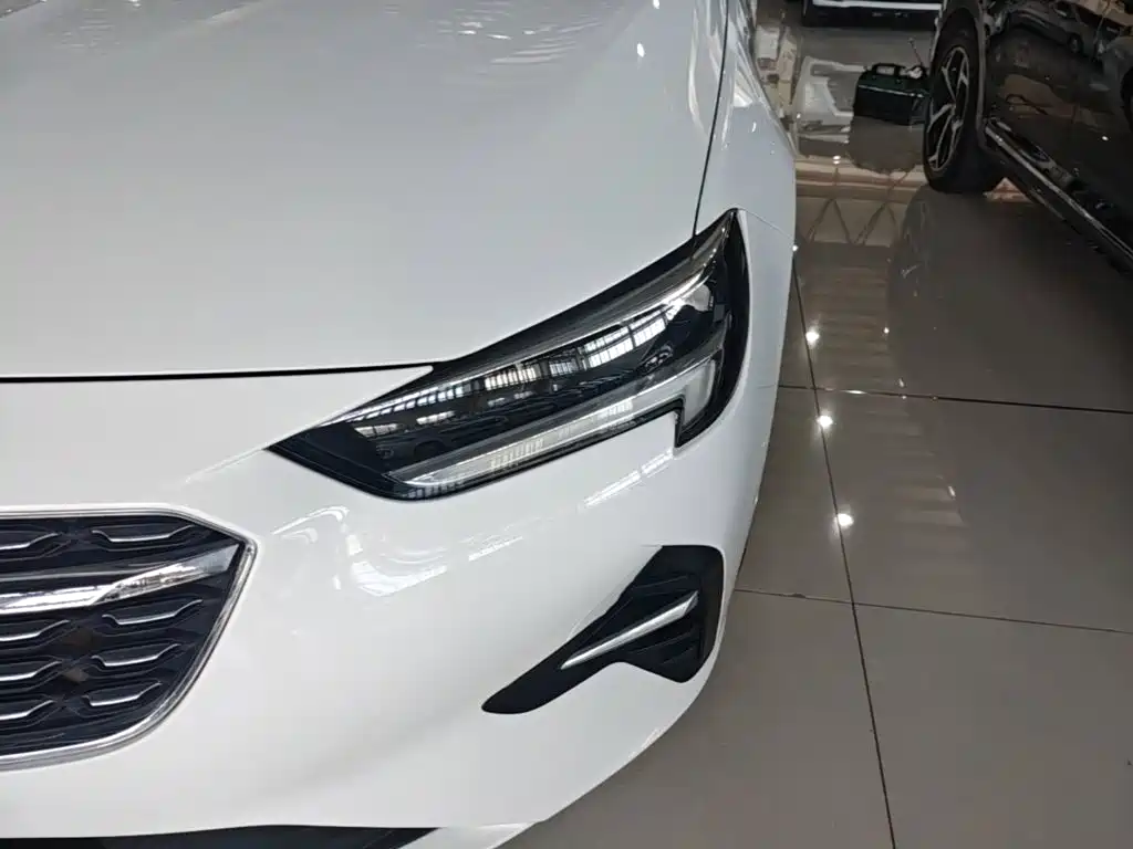 Buick Regal — фото 24