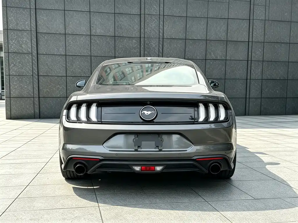 Ford Mustang — фото 14