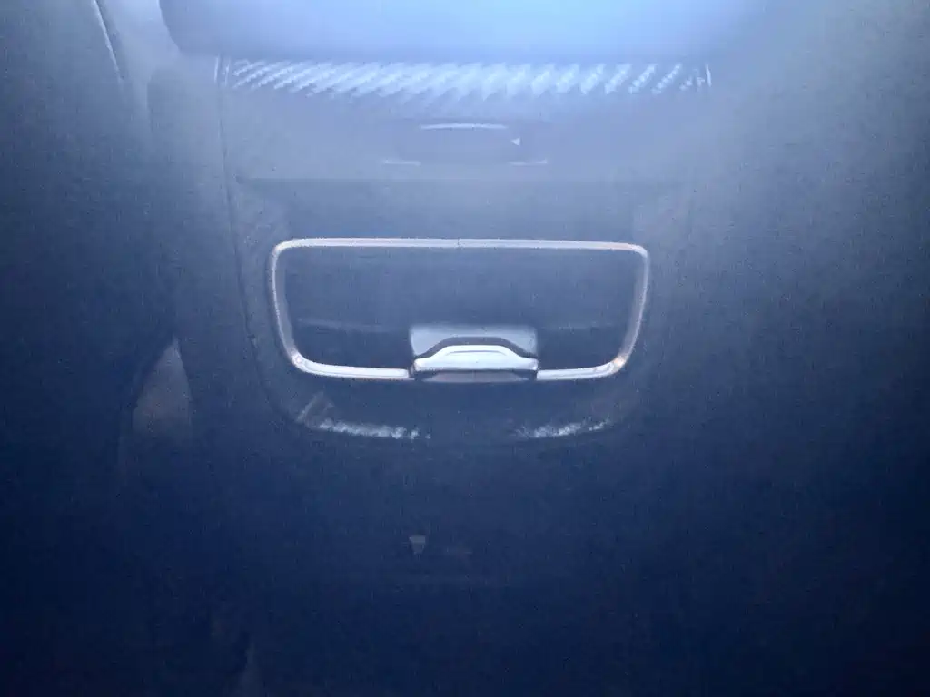 GAC Motor Shadow Leopard — фото 13