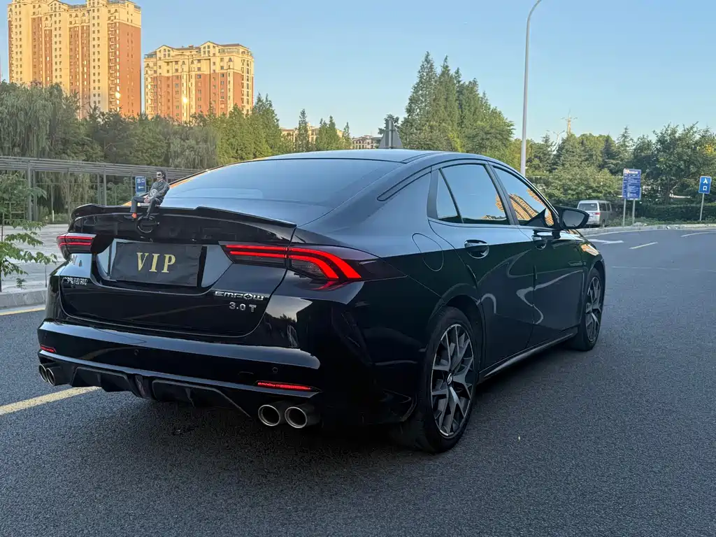 GAC Motor Shadow Leopard — фото 13