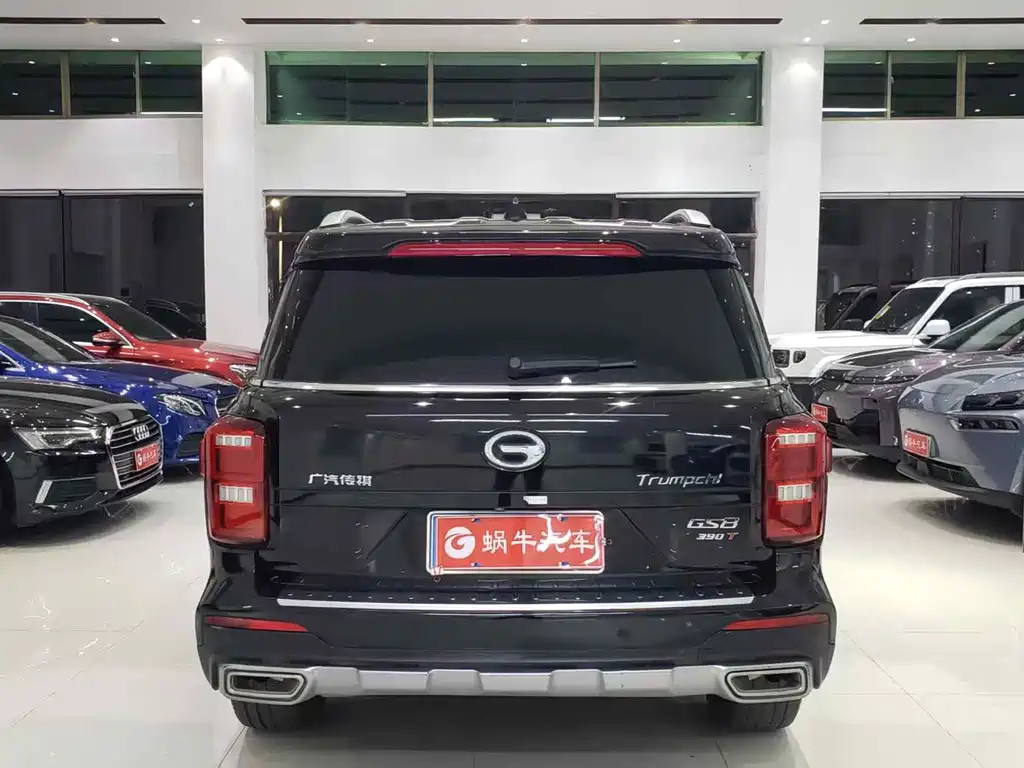 GAC Motor Trumpchi GS8 — фото 13