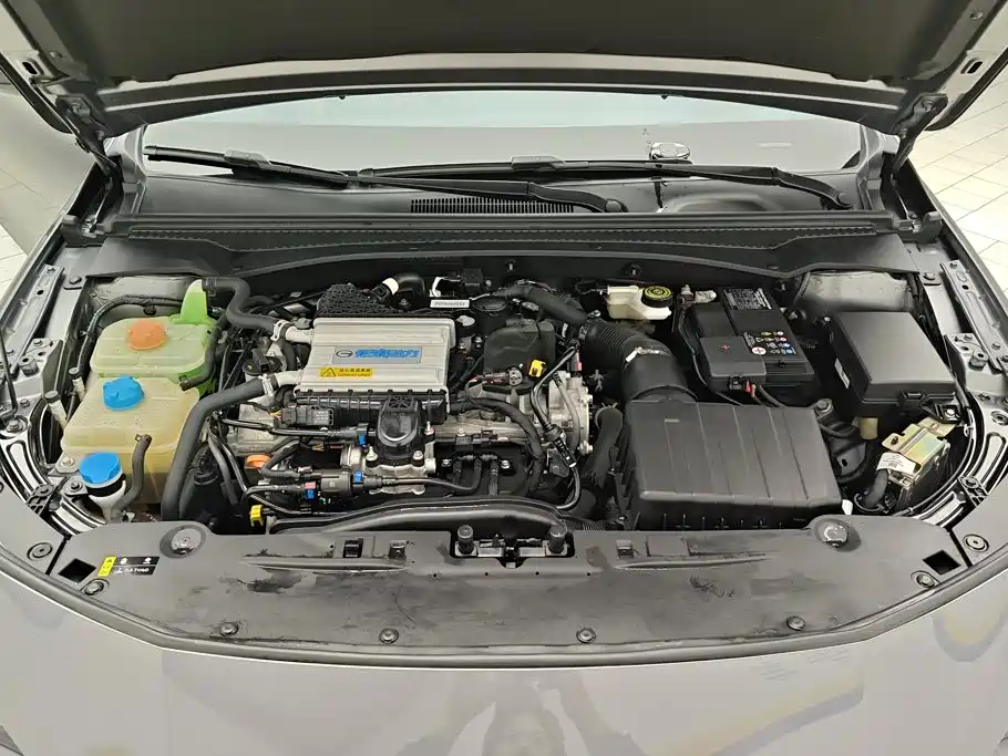 GAC Motor Shadow Leopard — фото 10