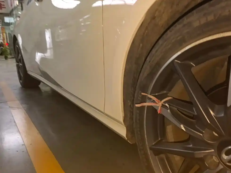 GAC Motor Shadow Leopard — фото 21