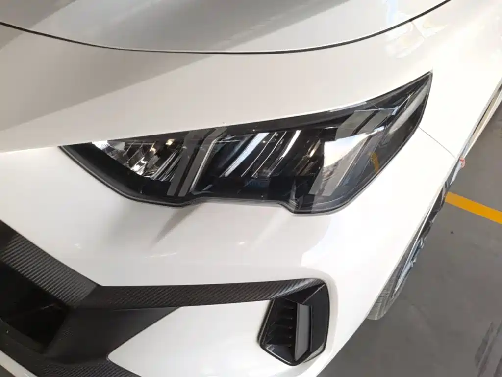 GAC Motor Shadow Leopard — фото 24