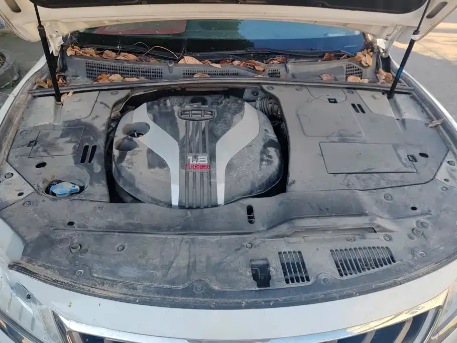 Geely Borui — фото 10