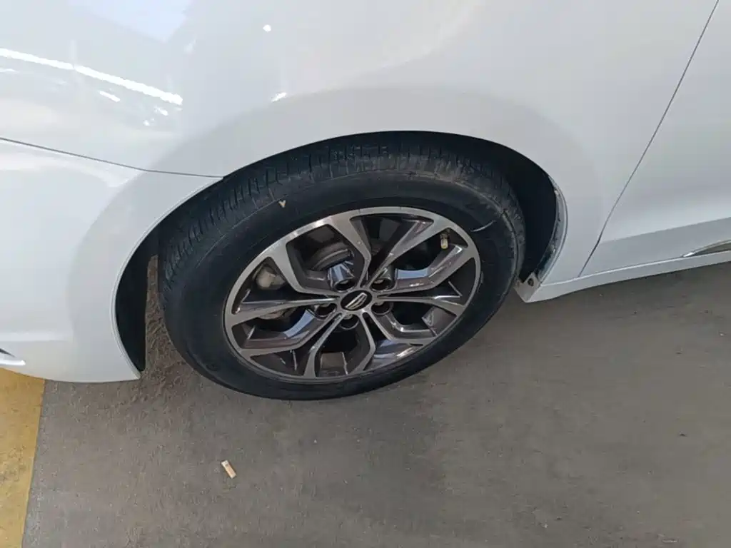 Geely Borui — фото 23