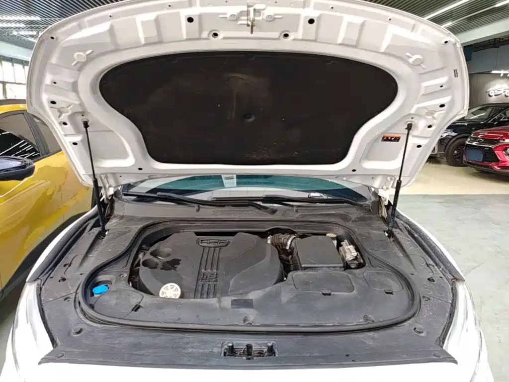 Geely Borui — фото 20