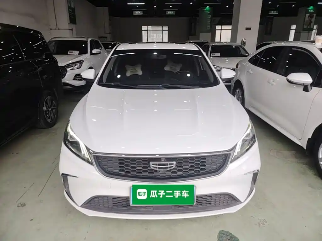 Geely Binrui — фото 3