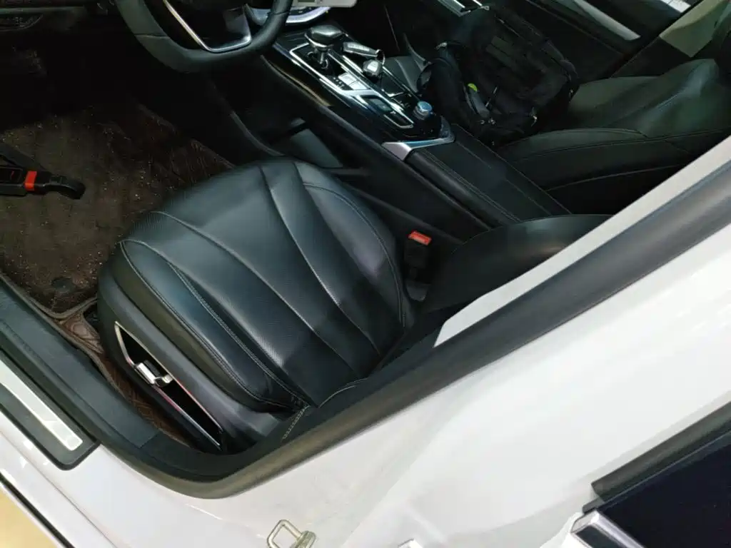 Geely Borui — фото 15
