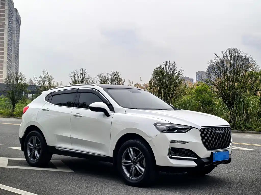 Haval F5 — фото 3