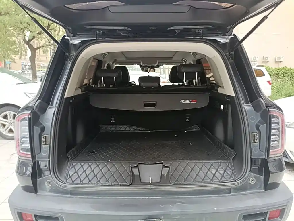 Haval Big Dog — фото 19