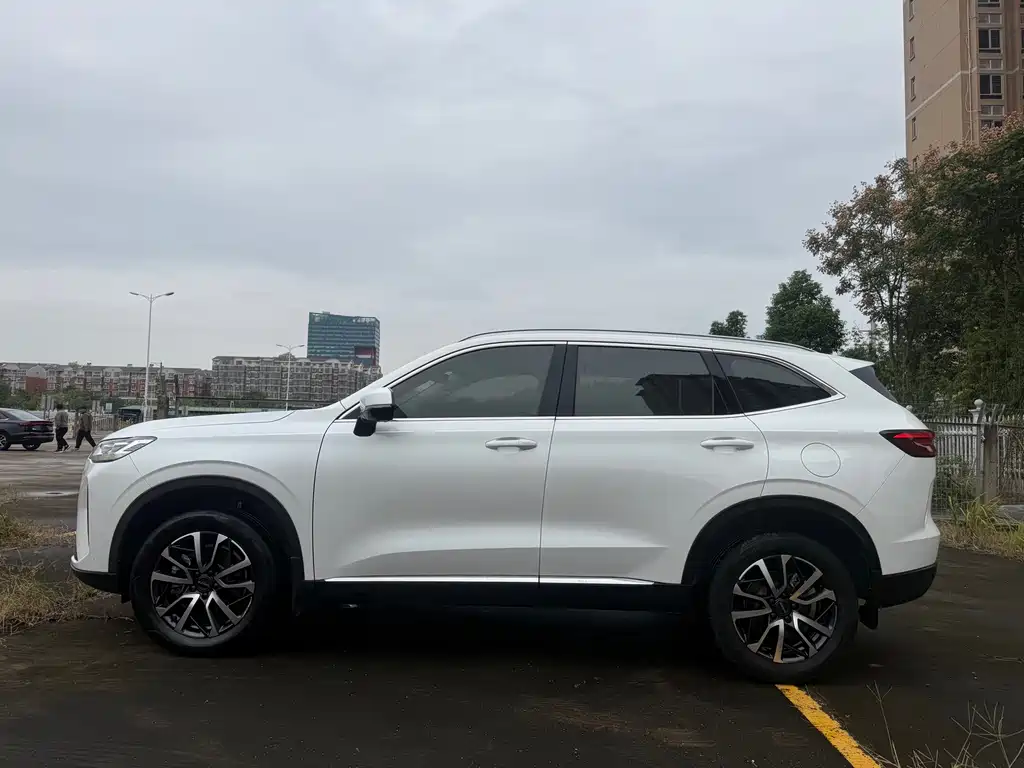 Haval H6 — фото 10