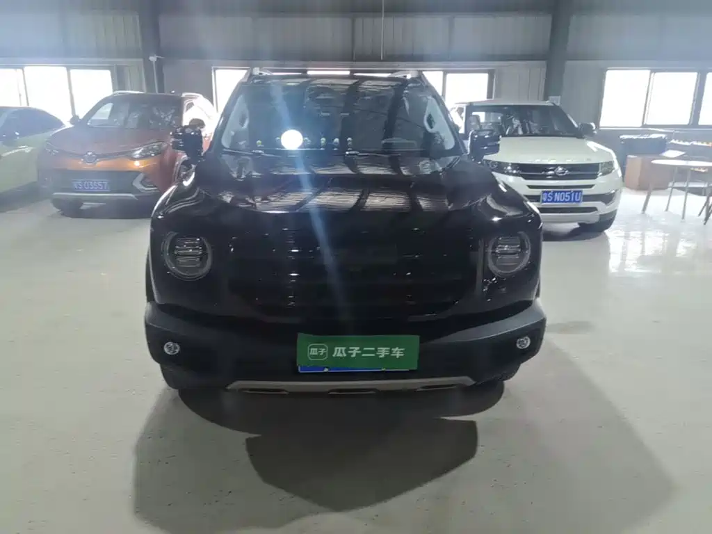 Haval Big Dog — фото 22