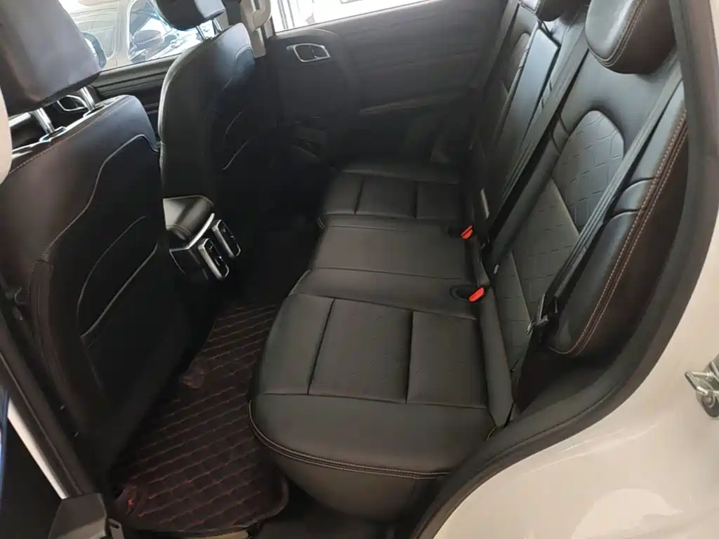Haval Big Dog — фото 17