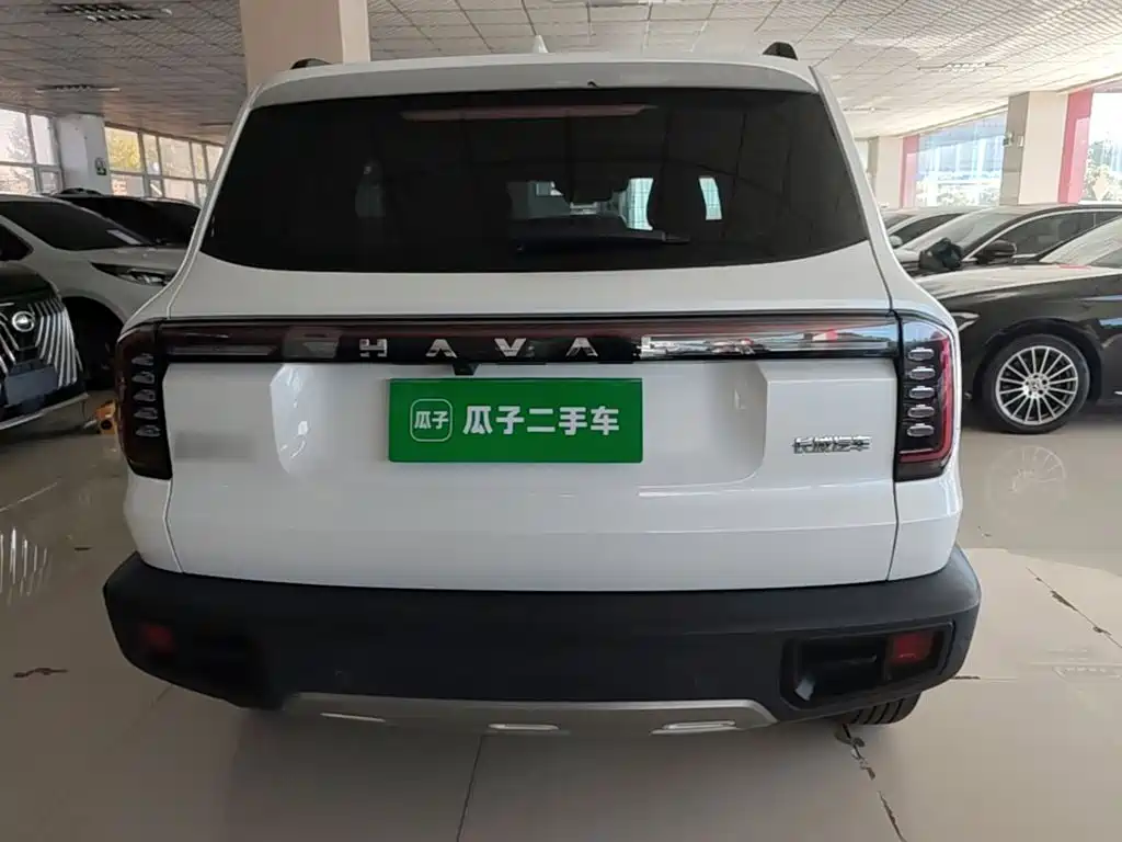 Haval Big Dog — фото 6