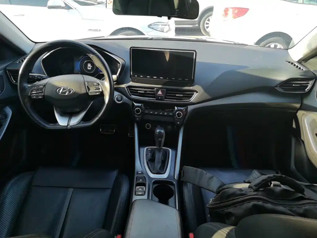 Hyundai Fista — фото 10