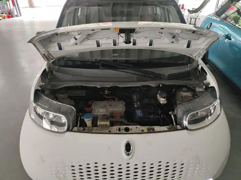 Ora Ora White Cat — фото 20