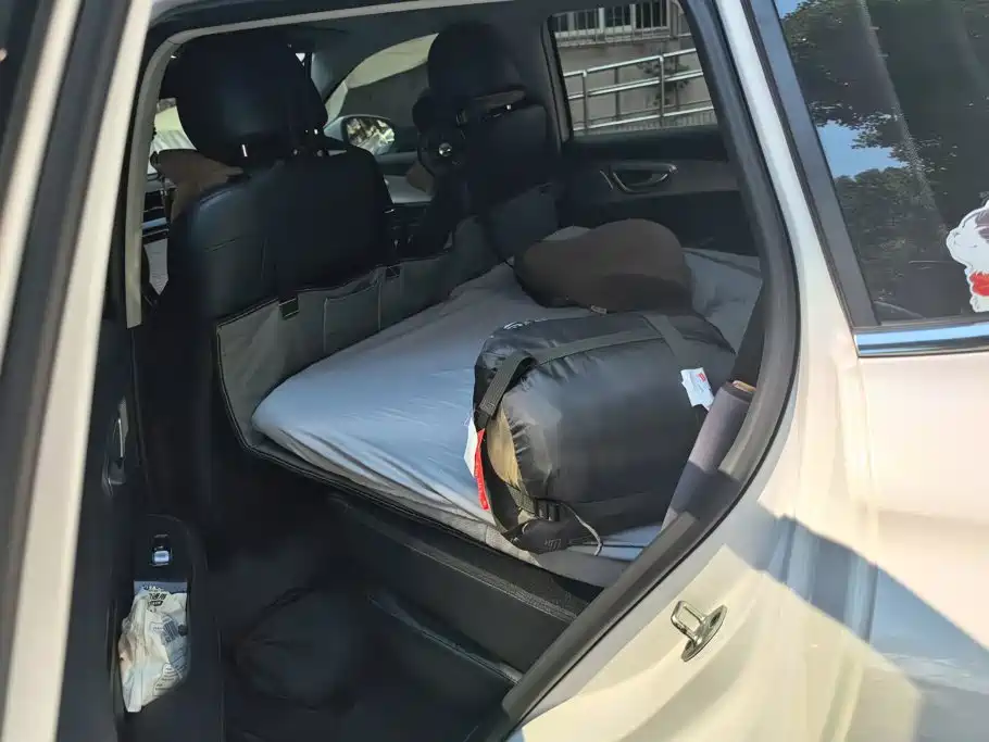 Roewe RX5 eMAX — фото 11