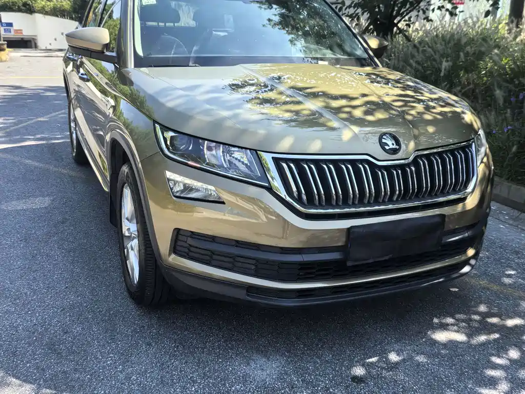 Skoda Kodiaq — фото 2