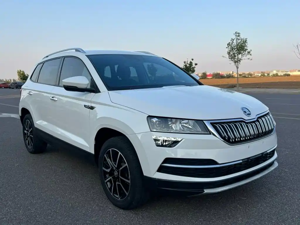 Skoda Karoq — фото 3