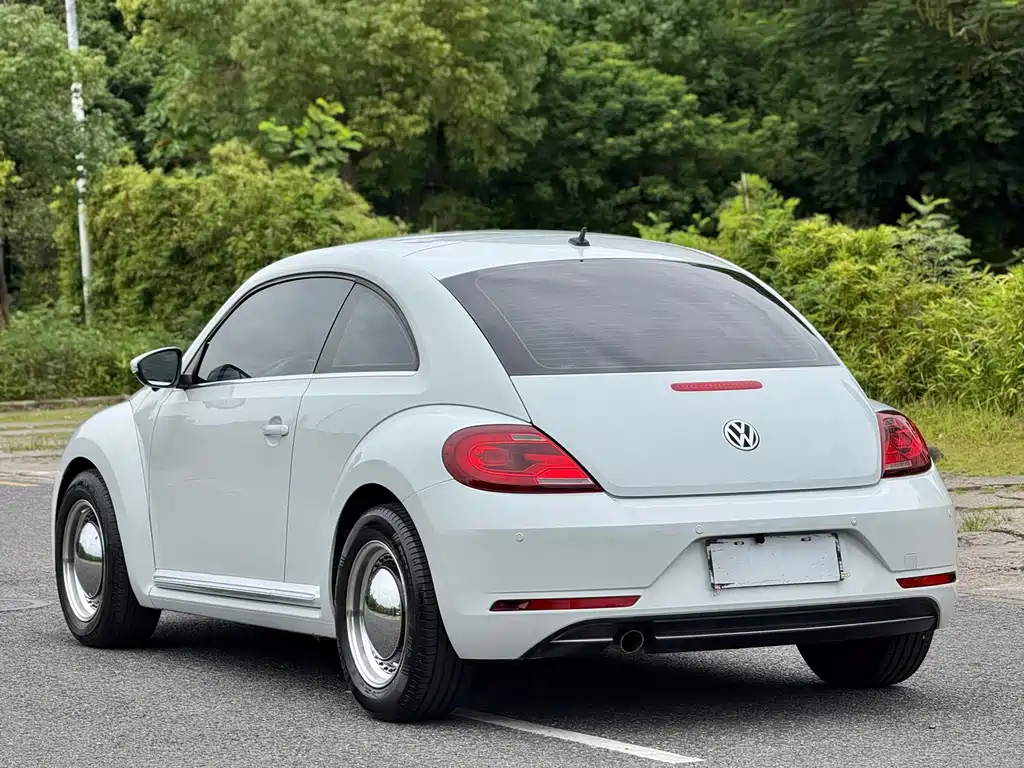 Volkswagen Beetle — фото 14