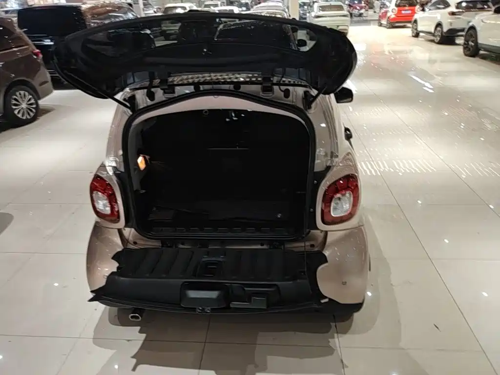 smart Smart Fortwo — фото 19