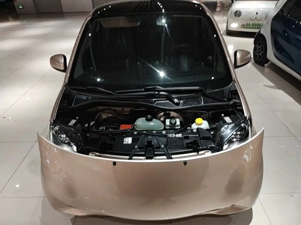 smart Smart Fortwo — фото 20