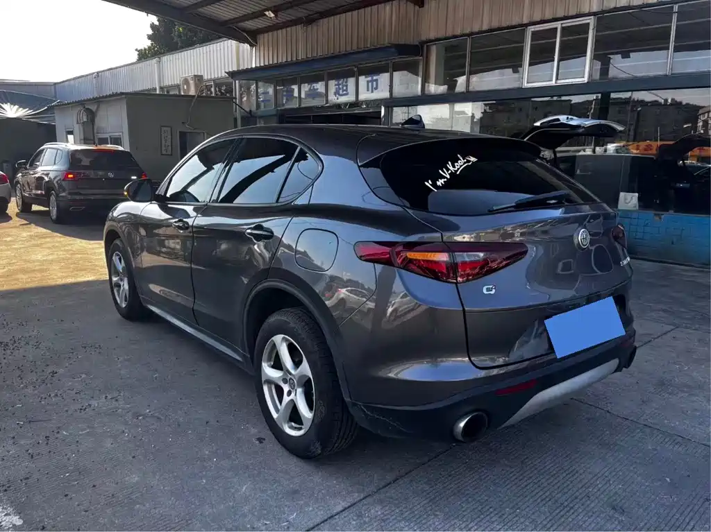 Alfa Romeo Stelvio — фото 9