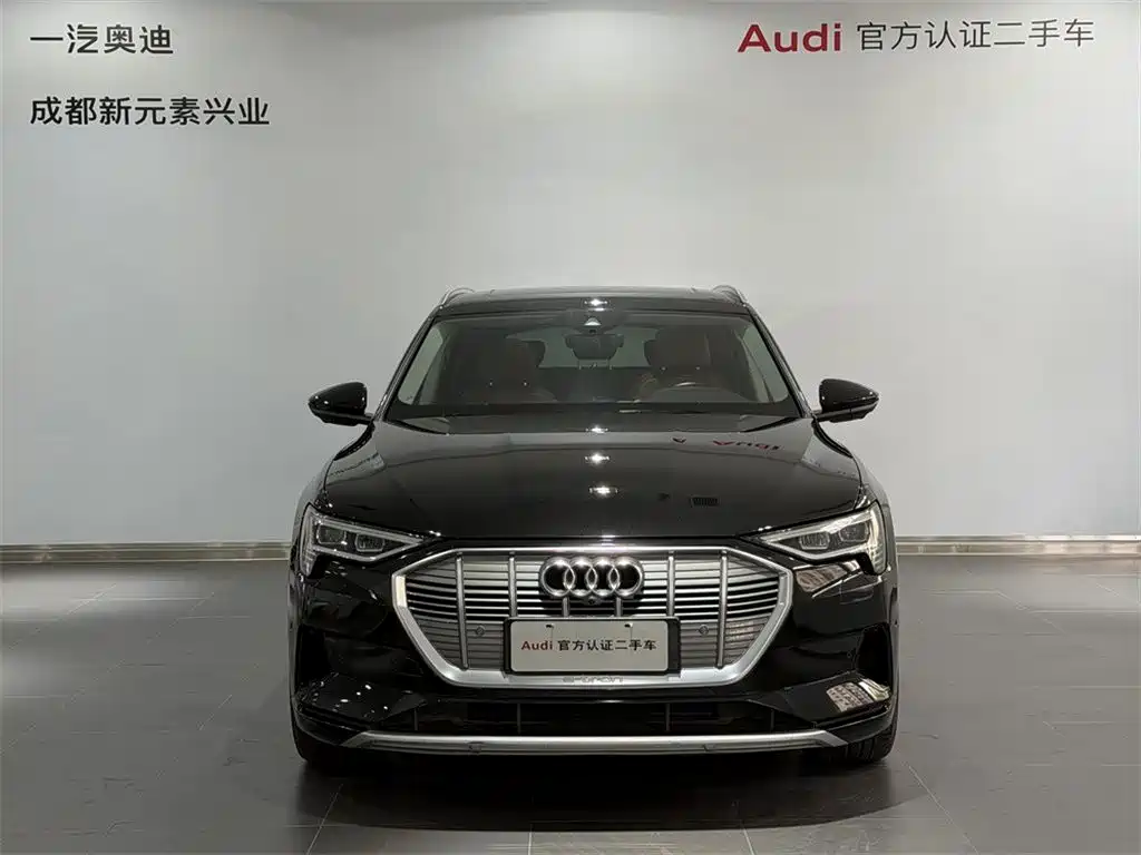 Audi e-tron (Import) — фото 2