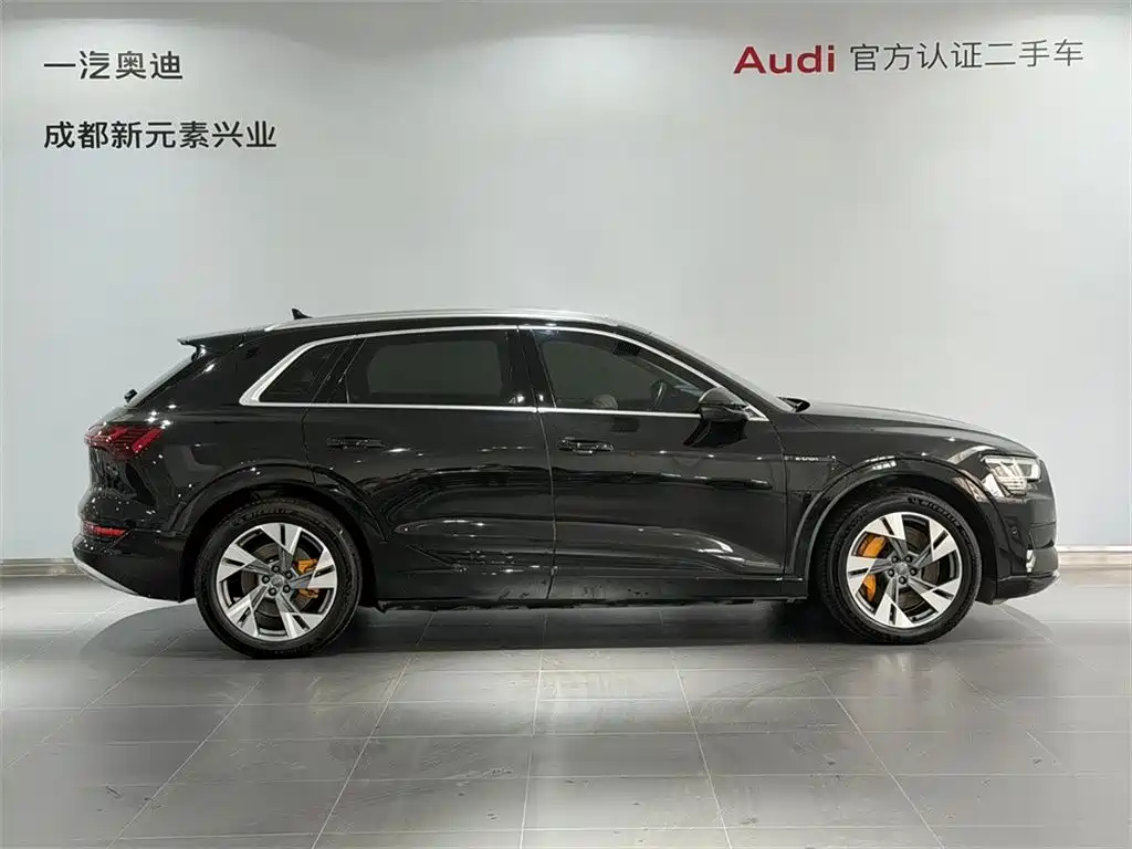 Audi e-tron (Import) — фото 3