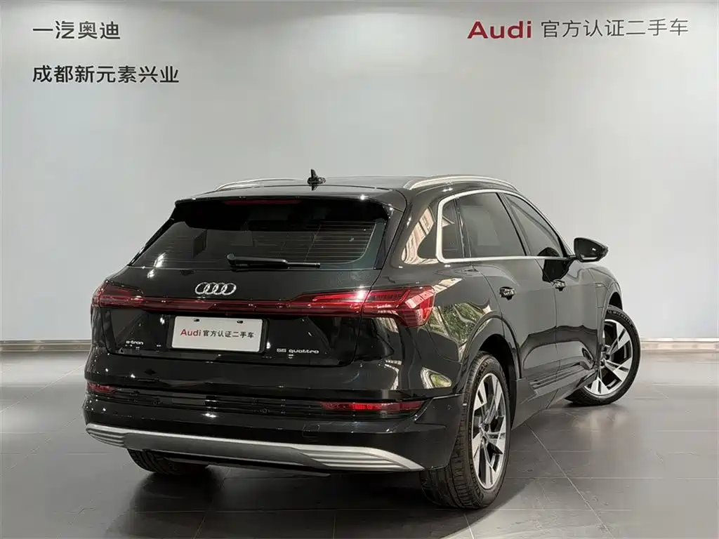 Audi e-tron (Import) — фото 4