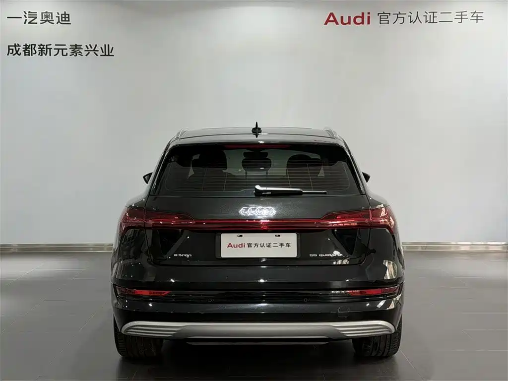Audi e-tron (Import) — фото 5
