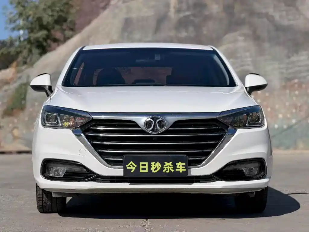BAIC Senova D50 — фото 2