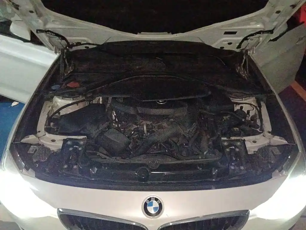 BMW 3 Series GT — фото 11